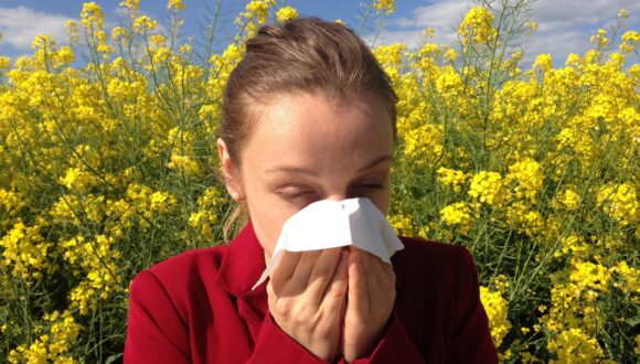 Piante officinali per il controllo delle allergie