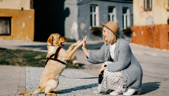 Cervello: fare le coccole a un cane aumenta i livelli di attività della corteccia prefrontale