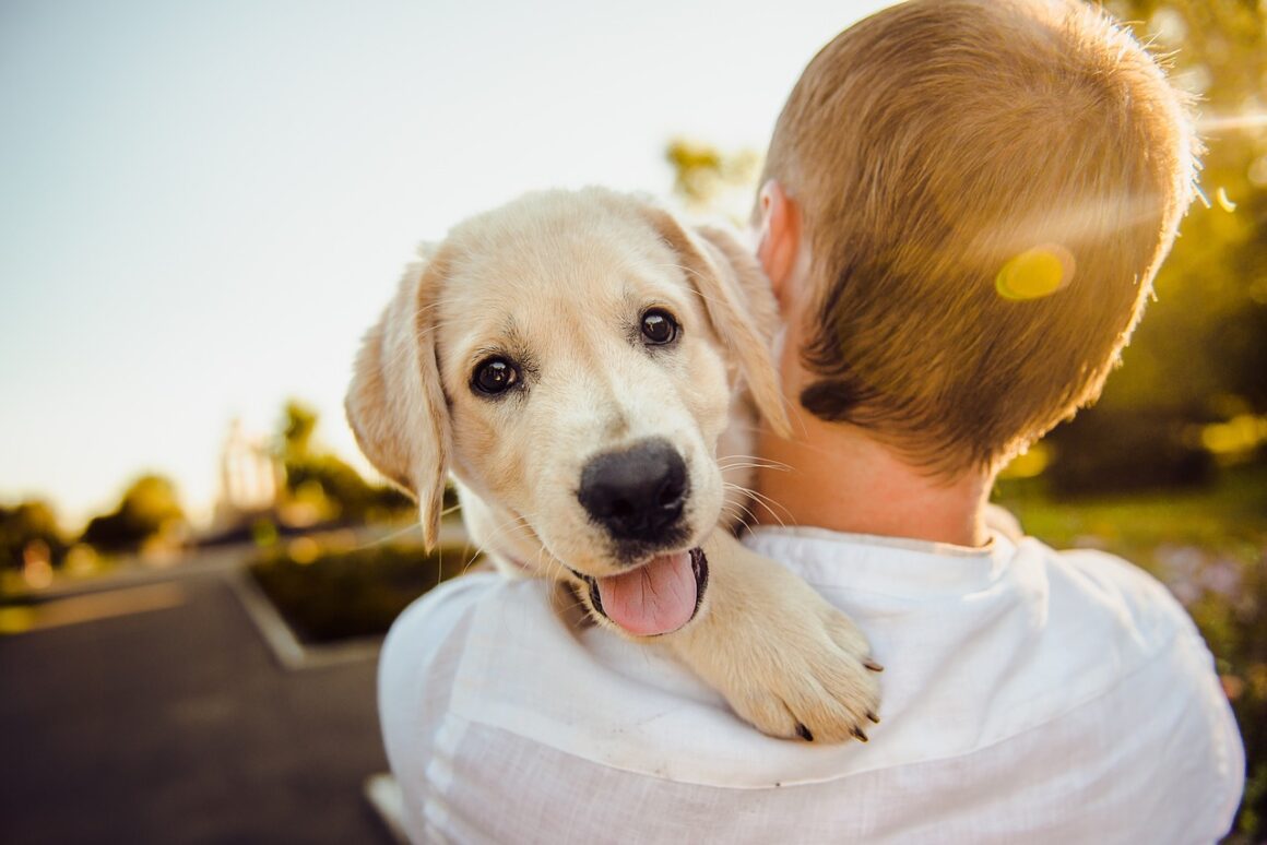 Serenità emozionale del cane