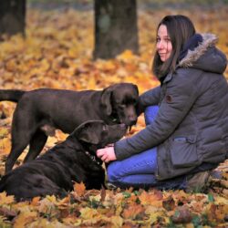 Autunno per i nostri cani…attenzione!!