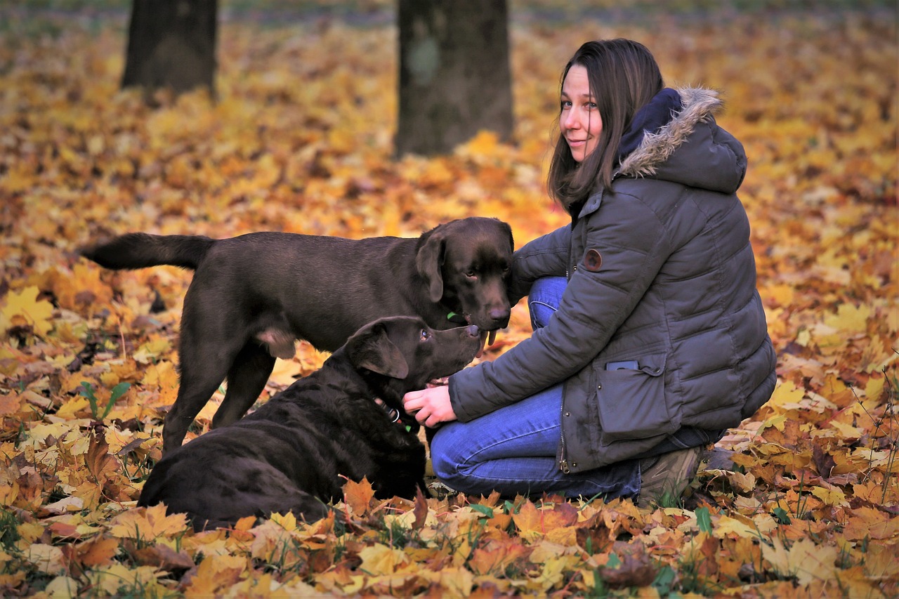 Autunno per i nostri cani…attenzione!!