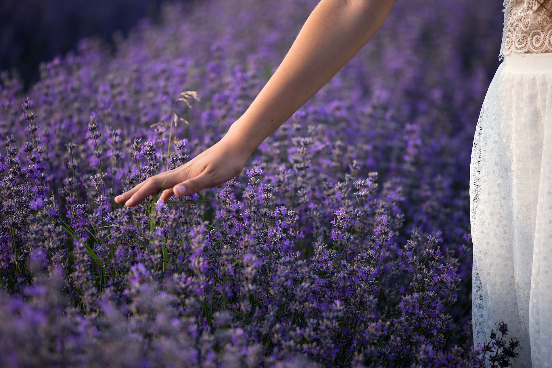 Impieghi cosmetici della lavanda